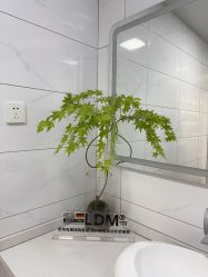 -白月光皮肤管理·德国LDM