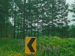 -塞罕坝国家级自然保护区