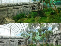 -石排湾郊野公园