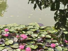 -国家植物园南园