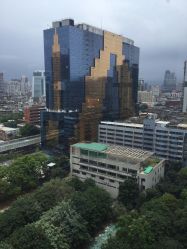 -章光101防脱养发荟