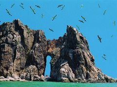 -长岛万鸟岛