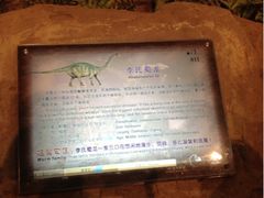 -自贡恐龙博物馆