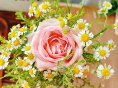 -树夏(金楠天街店)