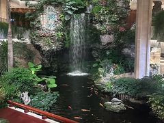 -广州白天鹅宾馆
