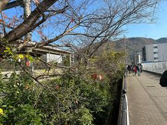 -岚山嵯峨野观光小火车