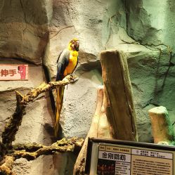 -Zoolung Zoolung动物主题公园(海信广场店)