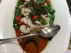 鲜花椒东星斑-鲍鱼王子(深圳大厦店)