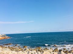 -广东惠东海龟国家级自然保护区