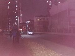 -绿岛公园(滨海新区)