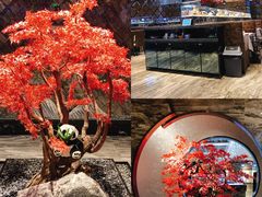 -红辣椒·川菜·火锅(大洋中心店)