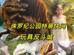 -TOYSRUS玩具反斗城(上海万象城店)
