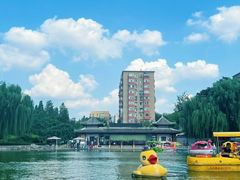 -团结湖公园