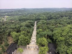 -宜兴龙背山森林公园