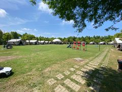 -上海海湾国家森林公园