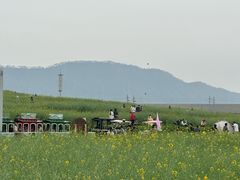 -光明小镇欢乐田园
