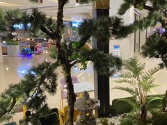 -天虹购物中心(石路店)