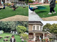 -J Create城市露营咖啡·简餐·宠物(上海动物园店)