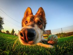 -万达广场(南京江宁店)