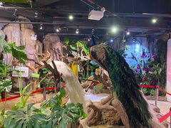 -正佳雨林生态植物园