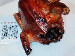 -小桂林烧鸽子