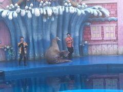 -华夏文旅海洋公园