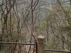 -天台山赤城山景区