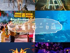 -长鹿旅游休博园
