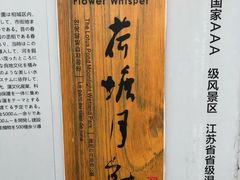 -荷塘月色湿地公园·向阳花洲
