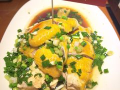 -魏铭鱼头捞饭(晋阳路店)