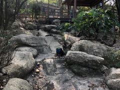 -福州动物园