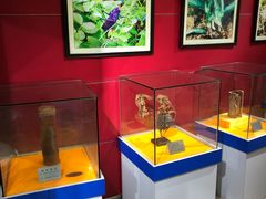 -上海昆虫博物馆