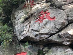 -凤凰欢乐谷