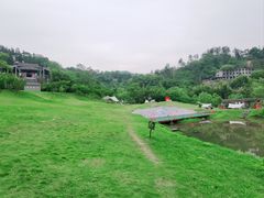 -洪崖丹井