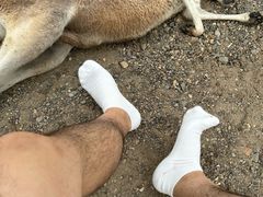 -可伦宾野生动物保护区