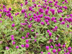 -南京金牛湖风景区