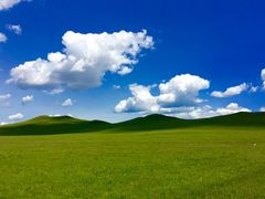 -御道口草原森林风景区