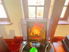 -树懒黑胶唱片店(中山路店)