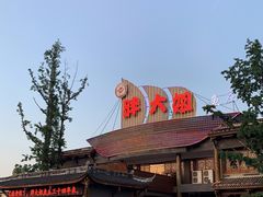 -胖大姐黄辣丁鱼庄(新津店)