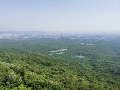 -紫金山山顶公园