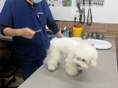 -爱侣宠医·鹦鹉专科·小型哺乳类·异宠专科(灵石路店)