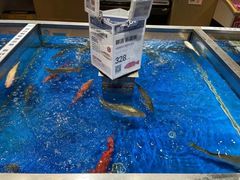 -盒马鲜生(顺义店)