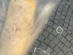 -殷姐糯米包油条