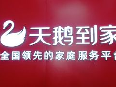 -天鹅到家·保姆月嫂育儿嫂(蔚蓝海岸店)