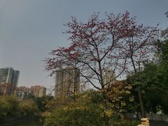 -晓港公园