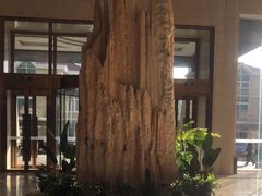 -兴芮温泉度假区