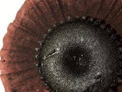 -百年义利(通州北苑南路店)