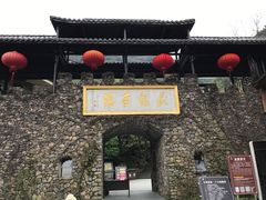 -藏龙百瀑风景区