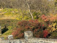 -方山风景区定林寺