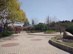 -嘉定紫藤园